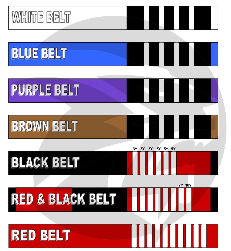 BJJ-Belts.jpg